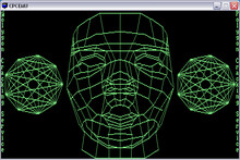 Vector Graphics Head